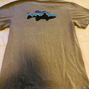 Patagonia Gray T-Shirt with Mountain Graphic